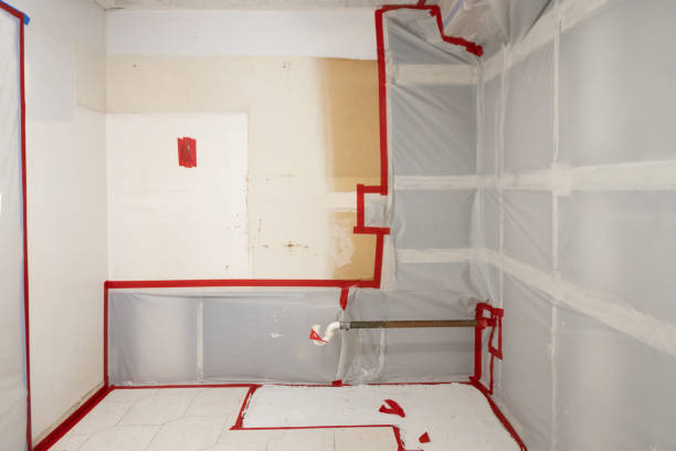 Mold Remediation for Vacation Homes in Harvey, IL